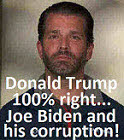 Donald Trump Jr. Donald Trump 100% right..Joe Biden and his corruption