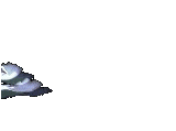 Dove Flying
