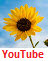 David Bui on YouTube